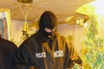 Задържаха 31-годишен старозагорец за производство на марихуана