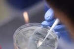 23-ма станаха потвърдените заболели от COVID-19 в област Стара Загора