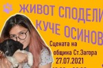 Младежи организират кампания за осиновяване на бездомни кучета в Стара Загора