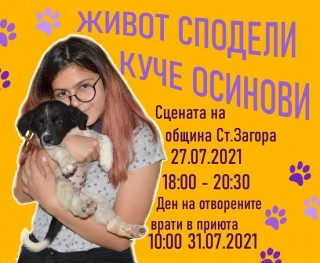 Младежи организират кампания за осиновяване на бездомни кучета в Стара Загора