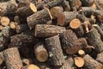 Задържаха двама, превозващи за 2 кубика незаконни дърва в Стара Загора 