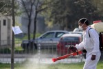В Стара Загора ще извършат поредна обработка против кърлежи