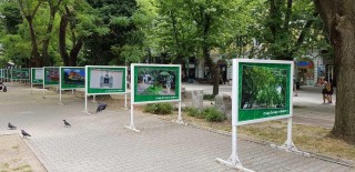 Специална изложба разказва историята на Стара Загора в снимки