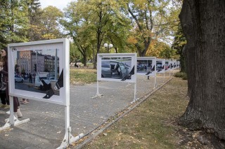 Откриха изложбата „Шофирането не е игра“ в парк „Пети октомври“