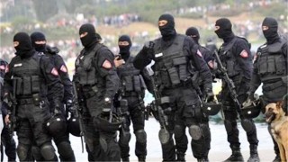 18 престъпления са регистрирани в хода на Спецакция в Старозагорско