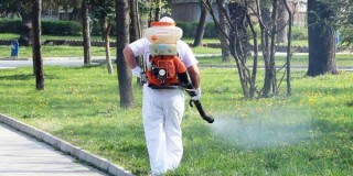 Третират водните площи в Стара Загора срещу комари