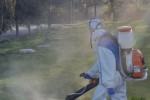 Започва обработването на тревни площи против кърлежи в Стара Загора