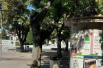 Община Стара Загора партнира в инфокампания за мобилното приложение еЗдраве