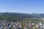Глобиха собственик на кучета, нарушил три закона едновременно