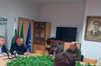 Зам.-кметът Радостин Танев: Боровата процесионка е намаляла и изтласкана в горските територии