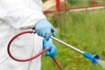 В Стара Загора започва есенната обработка на тревните площи против кърлежи