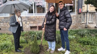 Младите омбудсмани на Стара Загора продължават традицията на „Чудната елха“