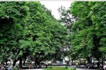 Днес откриват обновения парк „Александър Стамболийски“ („Алана“)