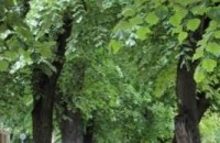 Предстоящи събития в Стара Загора на 14 октомври, сряда