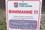 Община Стара Загора продължава мерките срещу боровата процесионка с грижа за природата