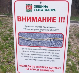 Община Стара Загора продължава мерките срещу боровата процесионка с грижа за природата